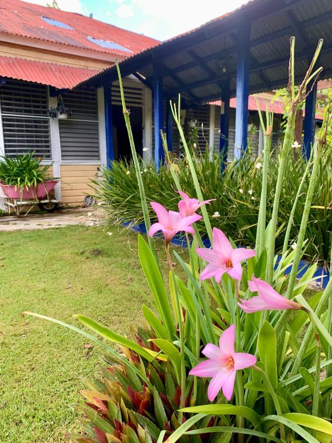 Campito Loving Higuey Exterior foto