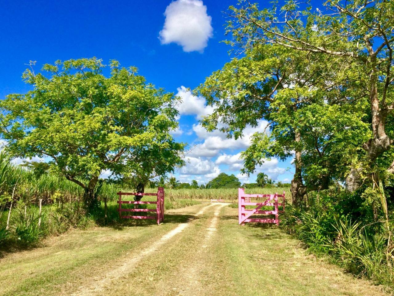 Campito Loving Higuey Exterior foto